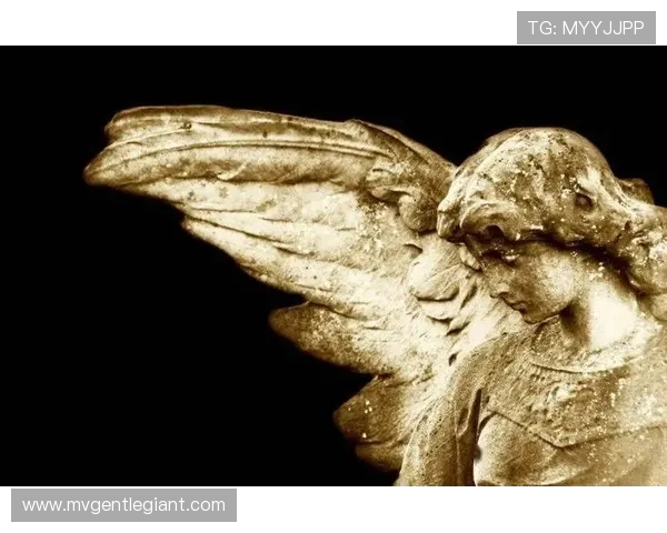 ✅体育直播🏆世界杯直播🏀NBA直播⚽- 法医秦明:开始写故事是因为“委屈”- sports ✅体育直播🏆世界杯直播🏀NBA直播⚽- 法医秦明:开始写故事是因为“委屈”- sports