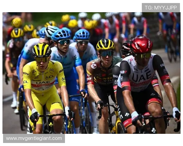 关于环法自行车赛横幅内容的信息sports